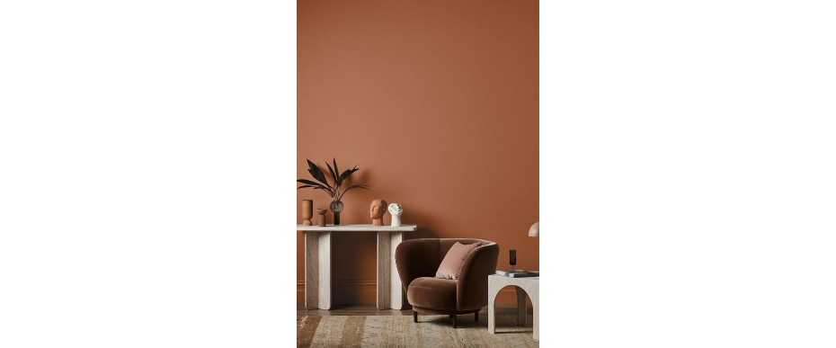 Couleur - peinture - terracotta - accueillant 